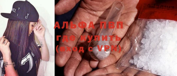 стаф Арсеньев