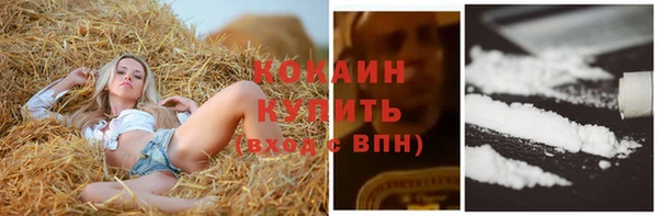стаф Арсеньев