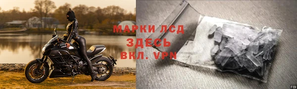 стаф Арсеньев