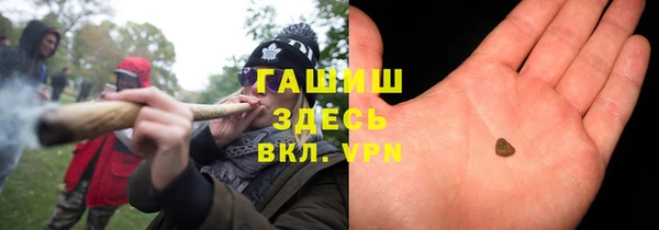стаф Арсеньев