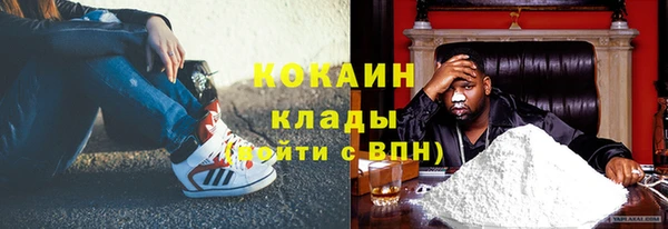 стаф Арсеньев