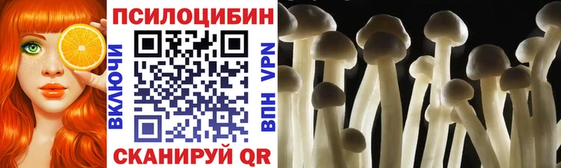 Купить закладки  Навашино  Галлюциногенные грибы ЛСД 